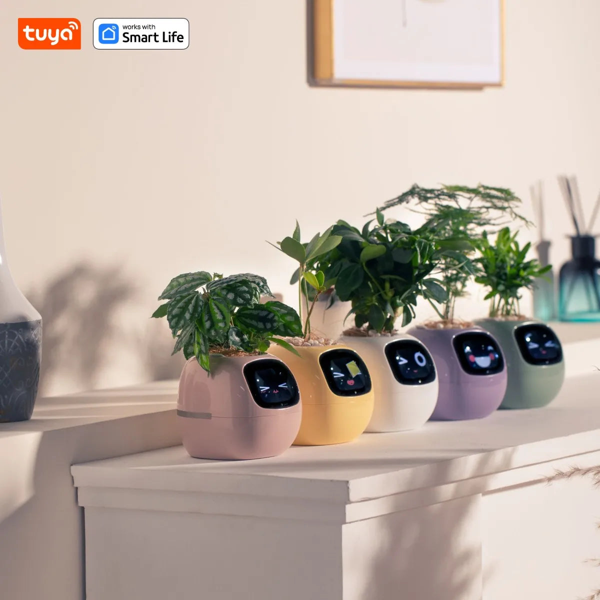 Smart Pet Planter