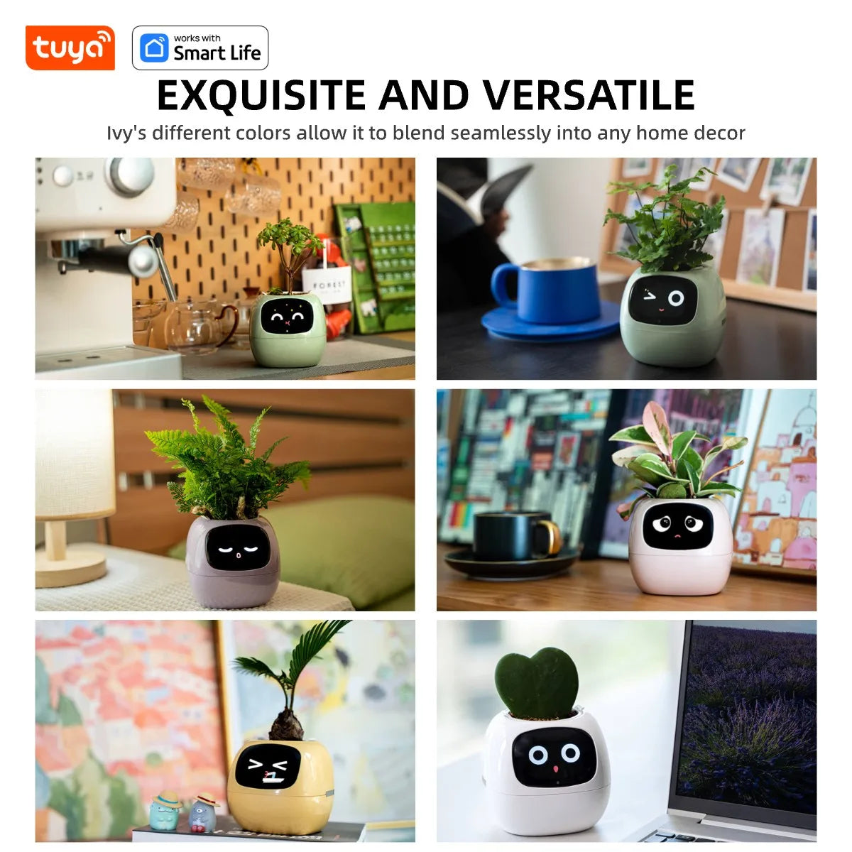 Smart Pet Planter
