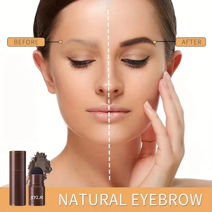Eyebrow Stamp Stencil Kit